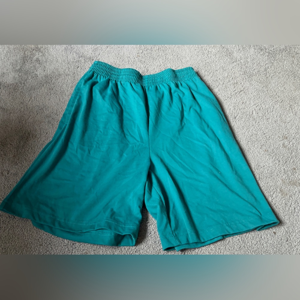 vintage teal bolo spirit shorts Size SMALL